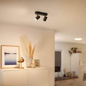 Svítidlo WiZ černá kov