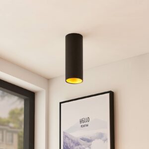 Svítidlo Arcchio černá/zlatá železo/hliník