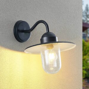 Svítidlo ELC černá/čirá železo/sklo