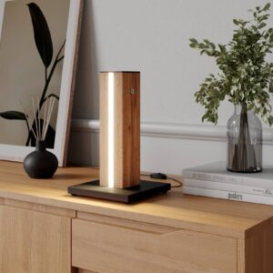 Svítidlo Envostar černá/světlé dřevo kov/MDF/PVC