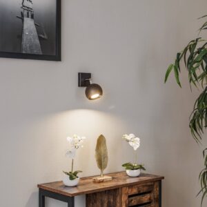 Svítidlo Euluna černá ocel