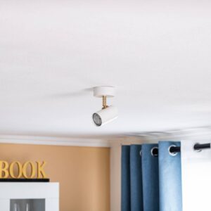 Svítidlo Euluna bílá matná/zlatá ocel