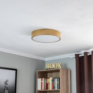 Svítidlo Euluna zlatý ocel/sklo