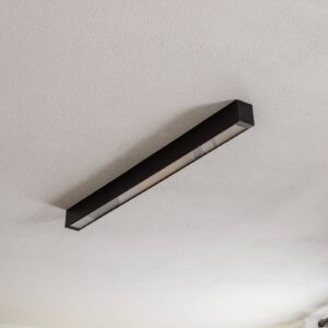 Svítidlo Euluna černá ocel/PMMA