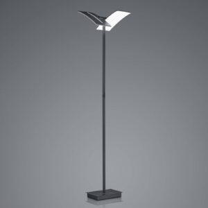 Svítidlo HELL černá železo