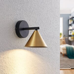 Svítidlo Lucande černá matná/mosaz kartáčovaná železo