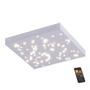 Svítidlo Paul Neuhaus bílá kov/plast