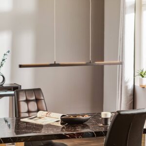 Svítidlo Paulmann černá hliník/plast