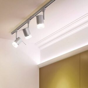 Svítidlo Paulmann chrom matný kov/plast