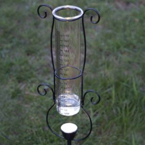 Svítidlo STAR TRADING černá/transparentní kov/železo/plast/sklo