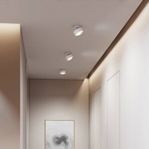 Svítidlo Top Light matná bílá/chrom/čirá hliník/zinek/sklo