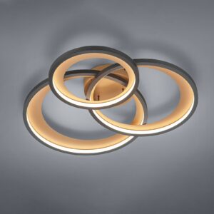 Svítidlo Trio Lighting matná černá/zlatá kov