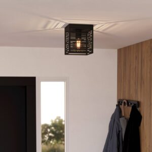 Svítidlo EGLO černá ocel