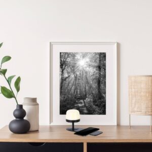 Svítidlo Nino Lightning bílý/černý kov/plast