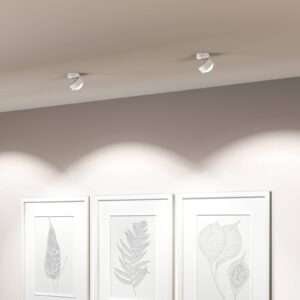 Svítidlo Top Light bílá matná/chrom hliník zinek/sklo