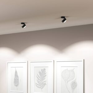 Svítidlo Top Light černá matná/chrom hliník zinek/sklo