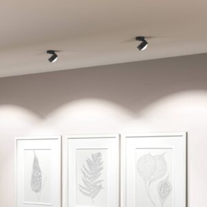 Svítidlo Top Light antracit matný/chrom hliník zinek/sklo