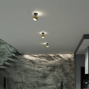 Svítidlo Top Light mosaz kartáčovaná/černá matná hliník zinek/sklo