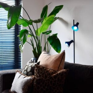 Svítidlo Calex matná bílá sklo