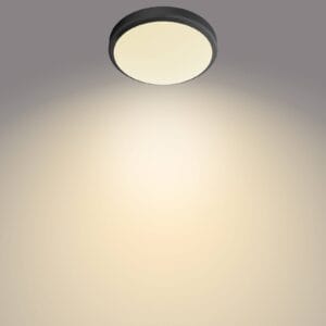 Svítidlo Philips černá kov/plast