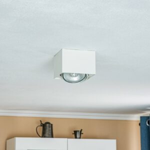 Svítidlo Argon bílá ocel