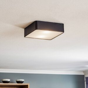 Svítidlo Argon černá Ocel/sklo