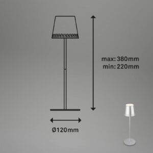 Svítidlo Briloner matný chrom kov