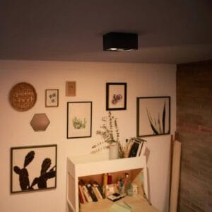 Svítidlo Philips černá hliník