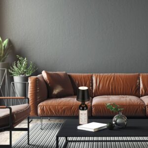 Svítidlo Briloner černá kov