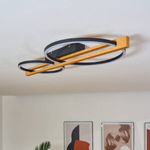 Svítidlo Eco-Light borovice/černá Dřevo/kov