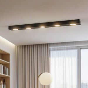 Svítidlo Eko-Light černá kov/plast