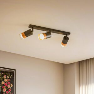 Svítidlo Envostar černá/tmavé dřevo/čirá železo/dřevo