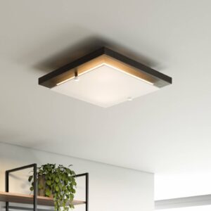 Svítidlo Envostar wenge/satinované dřevo/sklo