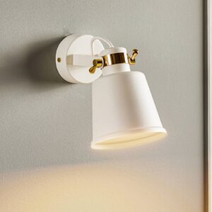 Svítidlo Euluna bílý/mosaz ocel