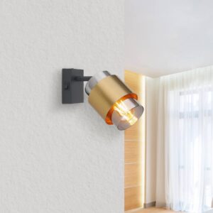 Svítidlo Globo černá/mosaz/kouřově šedá kov/sklo