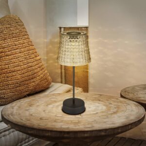 Svítidlo Globo černá/průhledná kouřově šedá plast