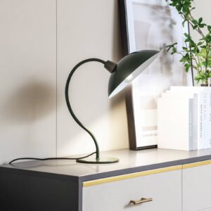 Svítidlo Lucande tmavě zelená/bílá Kov