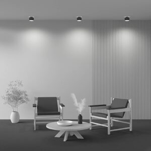 Svítidlo Maytoni černá/bílá Hliník