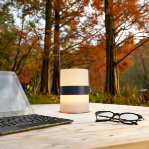 Svítidlo Näve šedá/bílá plast/kov