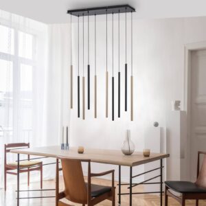 Svítidlo Paul Neuhaus černá/hliník železo/hliník/polykarbonát