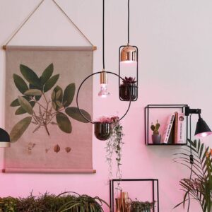 Svítidlo Paulmann Sklo