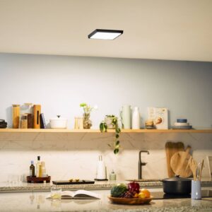 Svítidlo Philips černá kov/plast