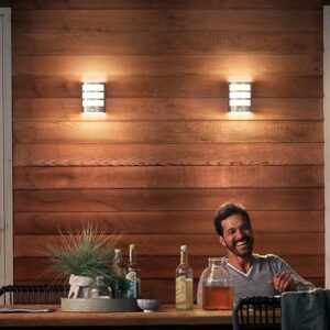 Svítidlo Philips šedá Nerezová ocel