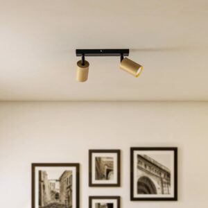 Svítidlo SIGMA černá/zlatá ocel