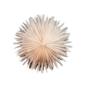 Svítidlo STERNTALER bílá papír