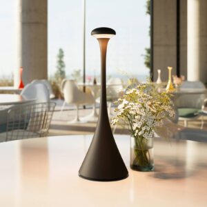 Svítidlo Sigor černá hliník