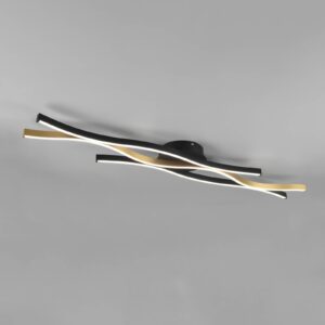 Svítidlo Trio Lighting matná mosaz/černá Kov