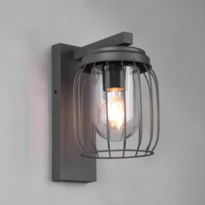 Svítidlo Trio Lighting antracitová/transparentní Hliníkový tlakový odlitek/sklo