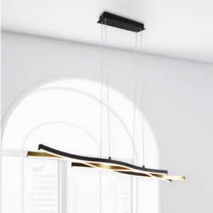 Svítidlo Trio Lighting matná mosaz/černá Kov