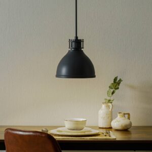 Svítidlo Westinghouse černá kov